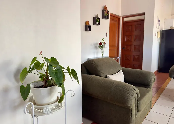 Apartamento En Ultima Planta